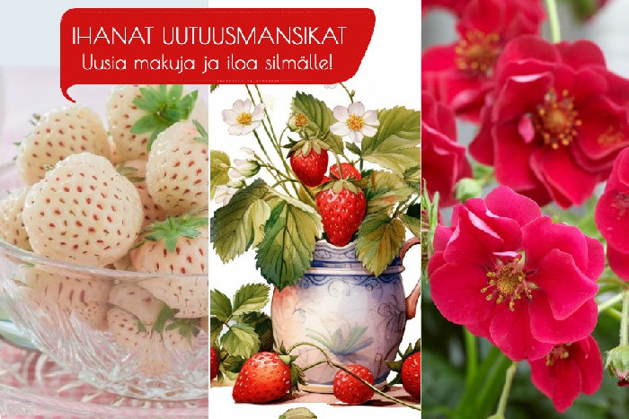 www.omavarainen.fi
